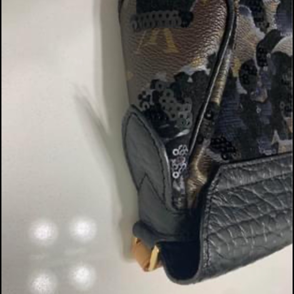 Selling Limited Edition LV Bag - Picture 4 of 5